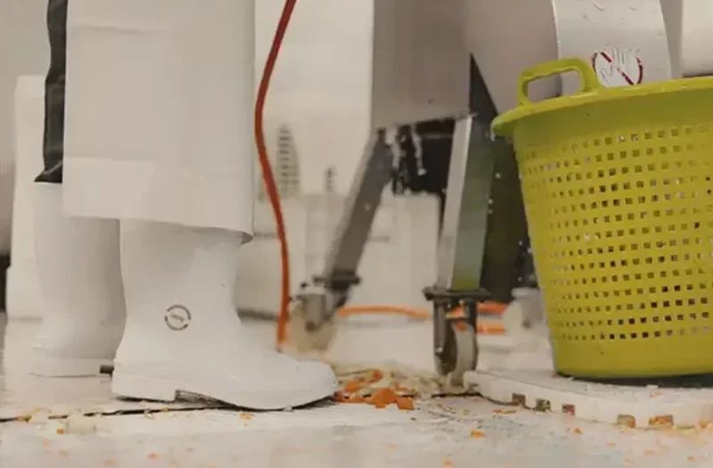 Indústria Alimentícia